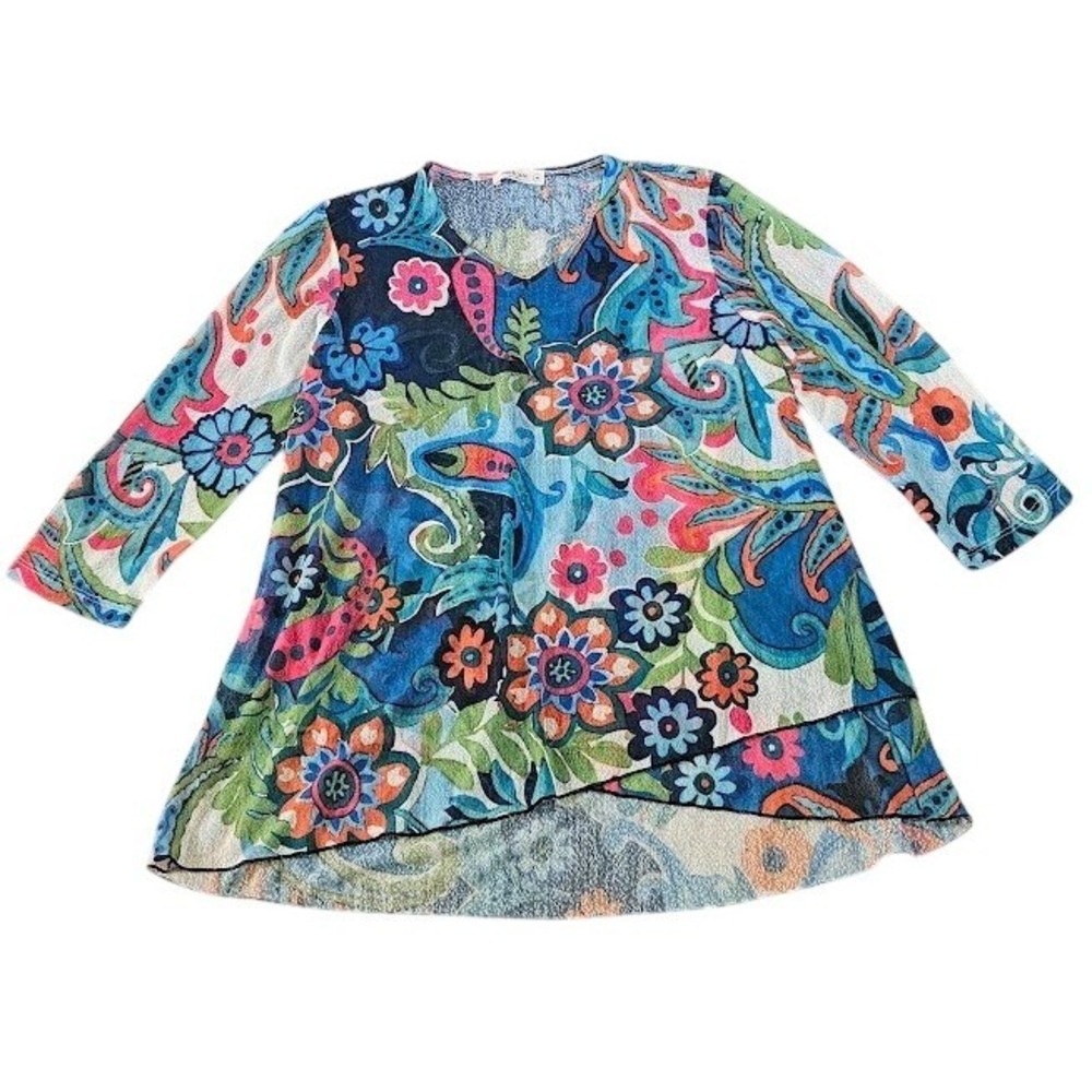Jess & Jane Floral Paisley Sheer Mesh Tunic Top Women Medium V-Neck Colorful